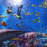 Entertainment venues